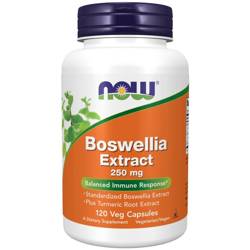 Now Foods Boswellia Extract 250 mg 120 kapslí