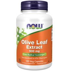 Now Foods Olivový List (Olive Leaf) Extract  500 mg 120 kapslí