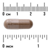 Swanson Kozlík Lékařský (Valeriana) 475 mg 100 kapslí