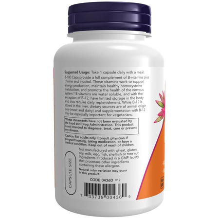 Now Foods Vitamin B-100 Complex 250 veg kapslí
